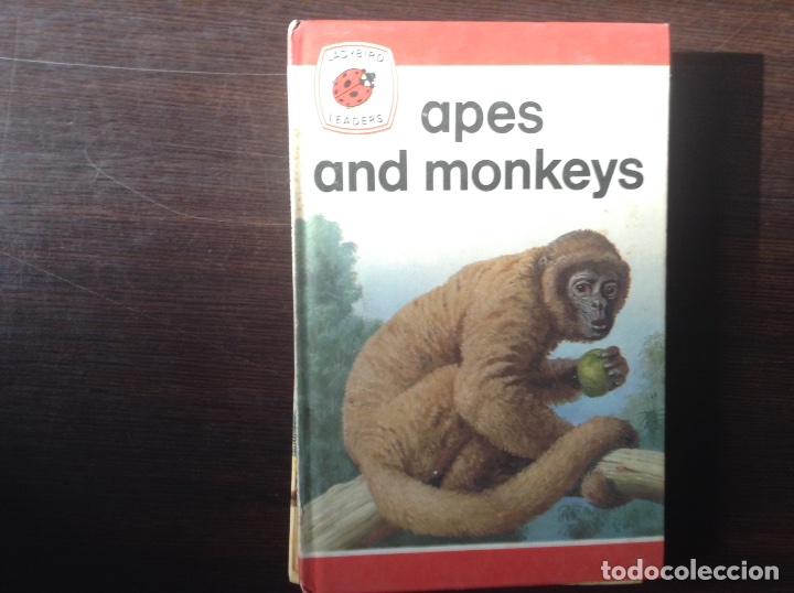 Libros de segunda mano: Siete libros de cuentos en ingl&eacute;s - Foto 5