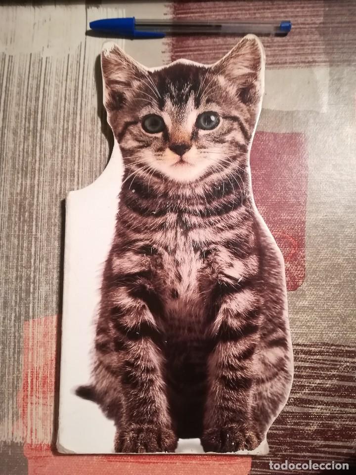 Libros de segunda mano: Gatitos - Planeta infantil - Libro troquelado - Foto 1