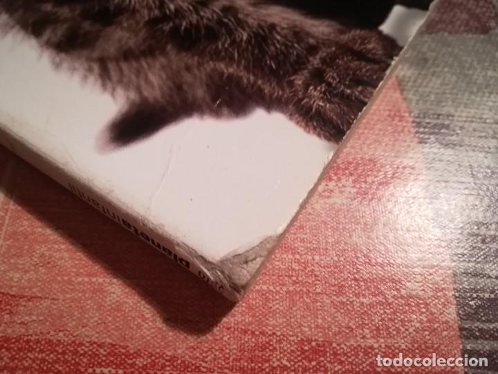Libros de segunda mano: Gatitos - Planeta infantil - Libro troquelado - Foto 6