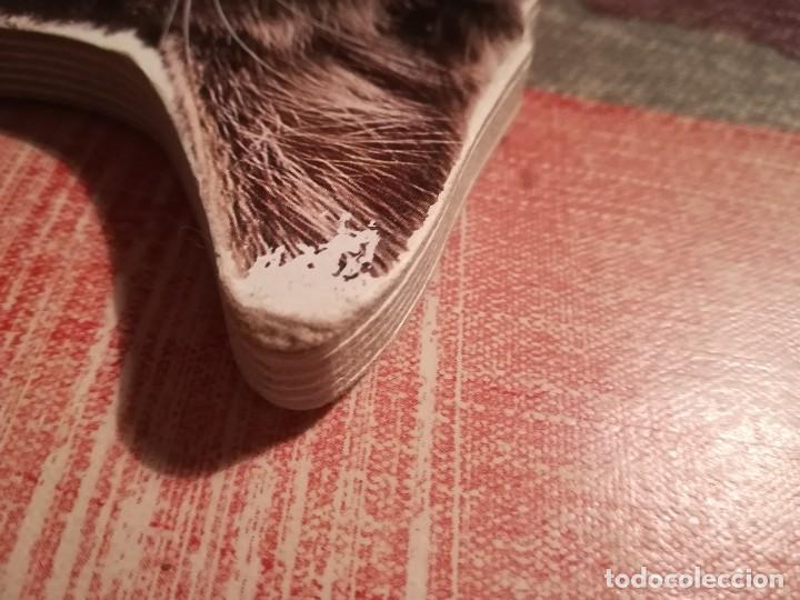 Libros de segunda mano: Gatitos - Planeta infantil - Libro troquelado - Foto 9