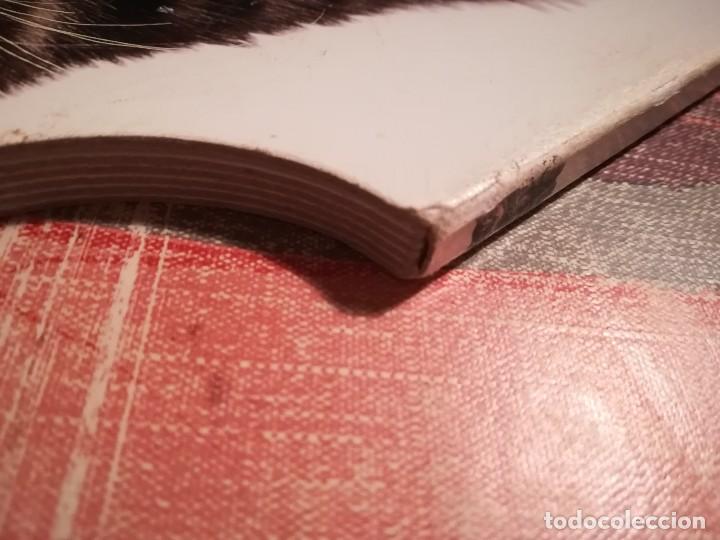 Libros de segunda mano: Gatitos - Planeta infantil - Libro troquelado - Foto 10