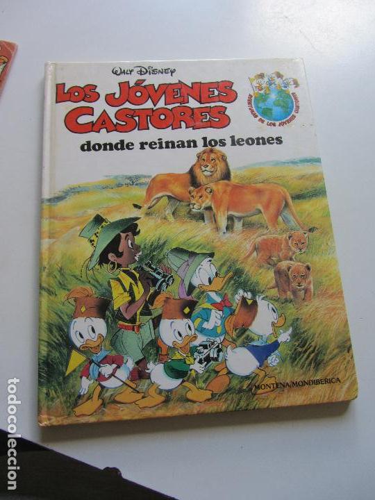 Libros de segunda mano: LOS J&Oacute;VENES CASTORES - WALT DISNEY - N&ordm;1 - DONDE REINAN LOS LEONES - MONTENA c97SADUR
