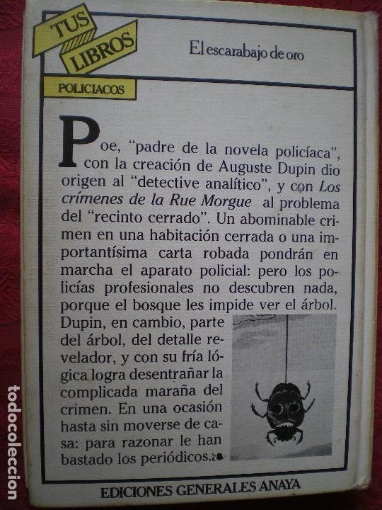 El Escarabajo De Oro Preguntas Y Respuestas