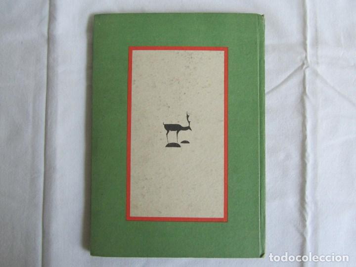 Libros de segunda mano: Cuentos de Hadas y Magos 1940 Ed. Tipograf&iacute;a Moderna - Foto 2