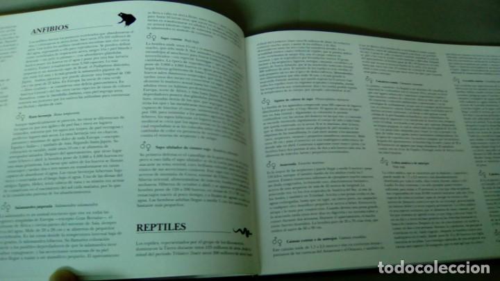 Libros de segunda mano: EL ULTIMO ARCA DE NOE. MIKE WILKS - Foto 4
