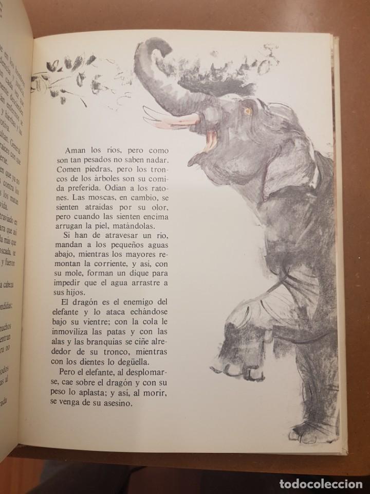 Libros de segunda mano: FABULAS Y LEYENDAS,LEONARDO DE VINCI - Foto 7