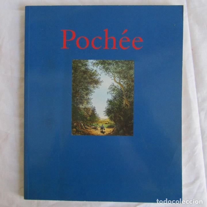 Libri di seconda mano: Cuento ilustrado en franc&eacute;s Poch&eacute;e Florence Seyvos. Dibujos de Calude Ponti 1995