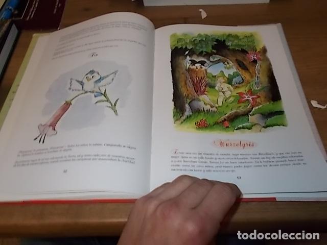 Libros de segunda mano: CUENTOS DE MALLORCA. DEDICATORIA Y FIRMA ORIGINAL DE LA AUTORA E ILUSTRADORA NANCY J. GRIMM. - Foto 1