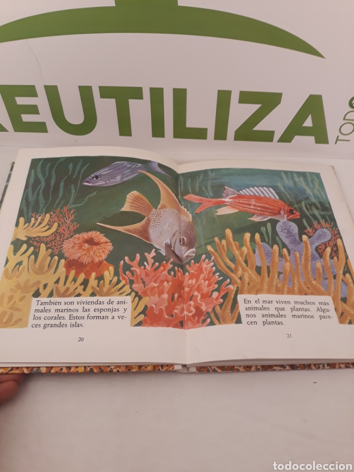 Libros de segunda mano: El Mar. Aguilar. 1970. - Foto 6