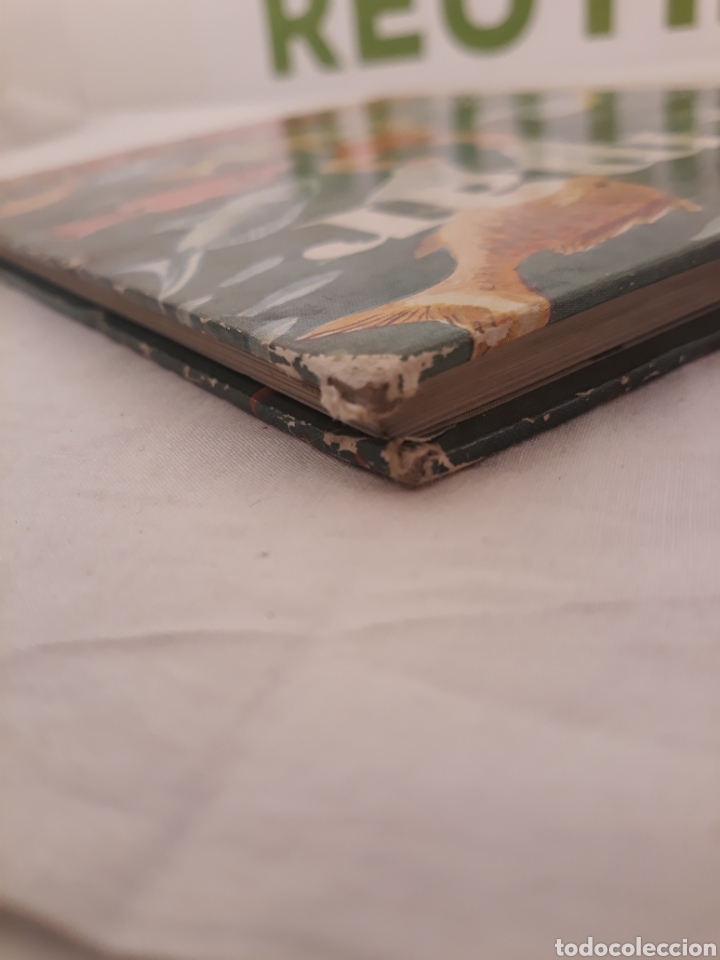 Libros de segunda mano: El Mar. Aguilar. 1970. - Foto 8