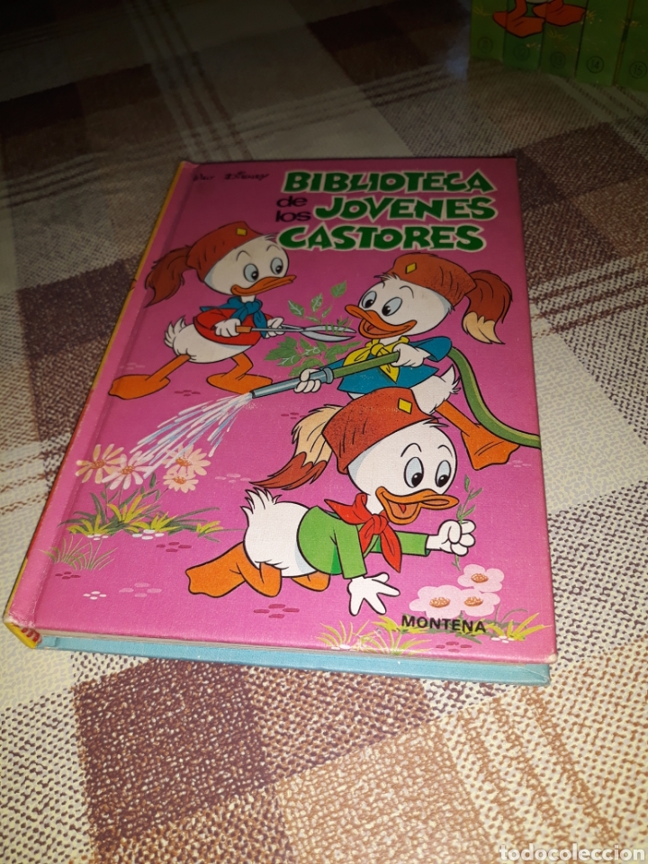 Libros de segunda mano: Libros. Descatalogados - Foto 5