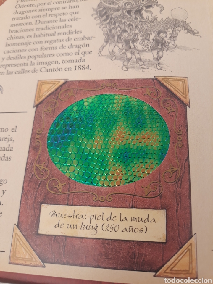Libros de segunda mano: El gran libro de los dragones. Montena. - Foto 7