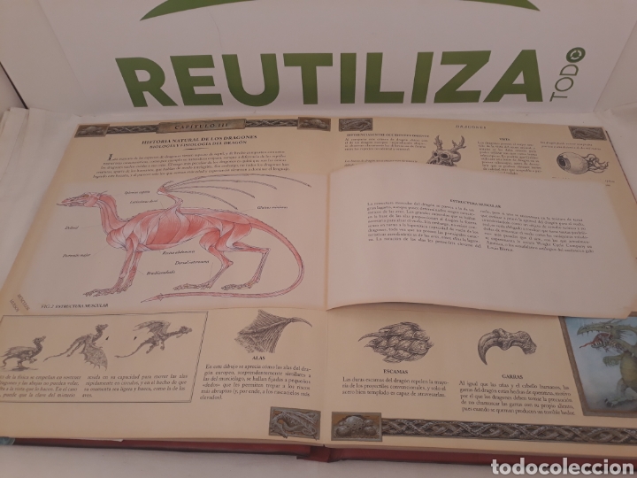 Libros de segunda mano: El gran libro de los dragones. Montena. - Foto 8