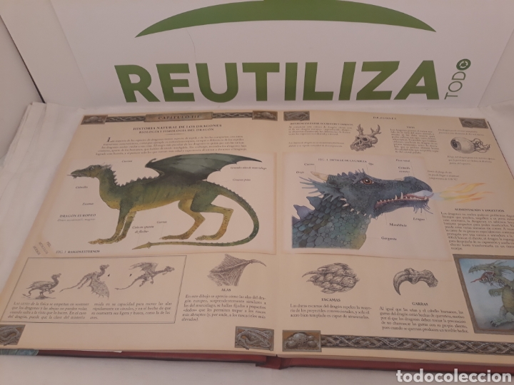 Libros de segunda mano: El gran libro de los dragones. Montena. - Foto 9