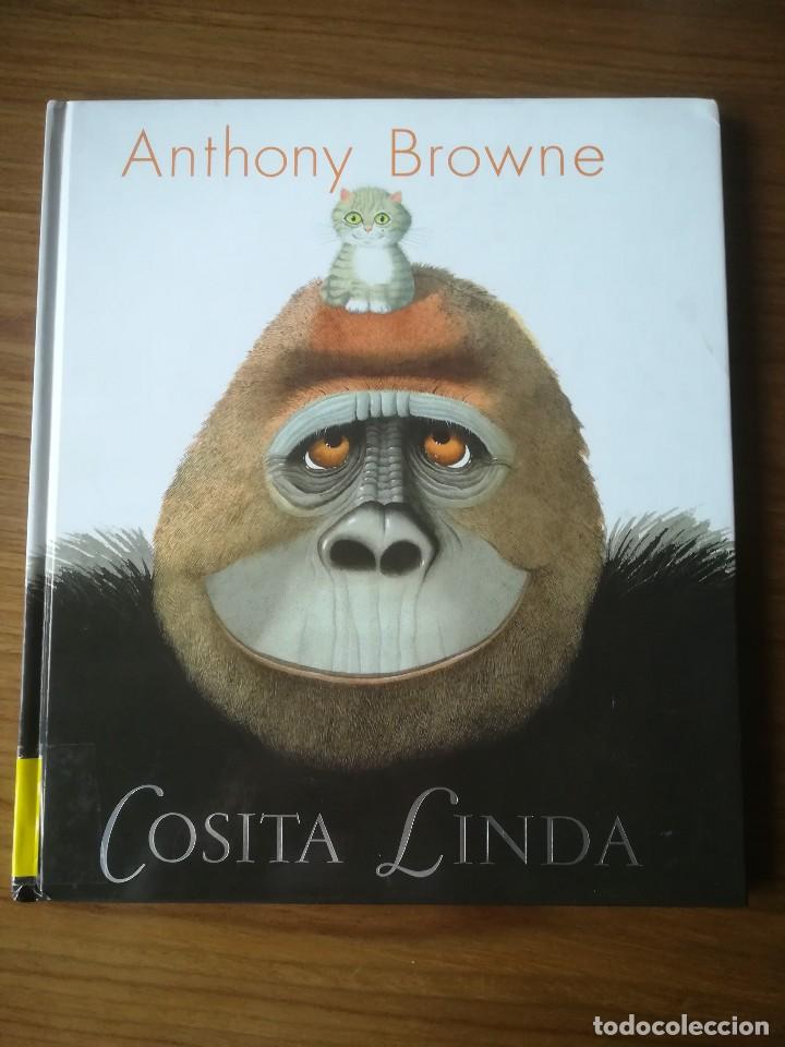 cosita linda anthony browne 2008 - Compra venta en todocoleccion