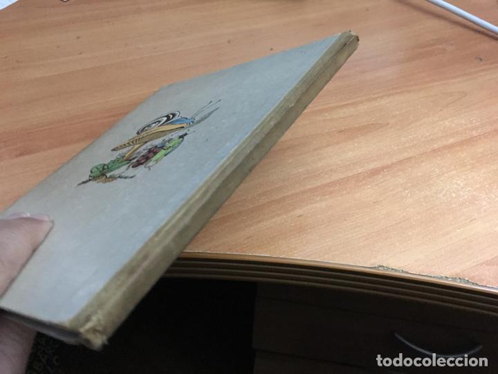 Libros de segunda mano: PERRAULT CUENTOS MAUCCI (COB43) - Foto 2