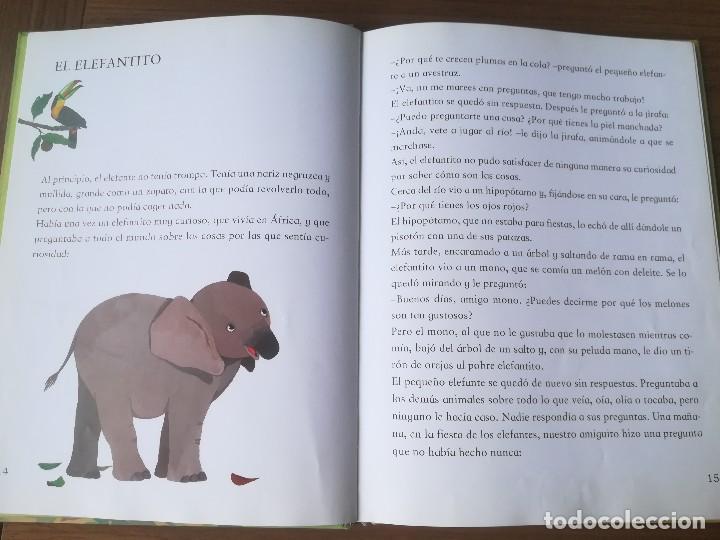 Libros de segunda mano: CUENTOS DE LA SELVA Y OTRAS HISTORIAS EDEBE 2005 - Foto 2