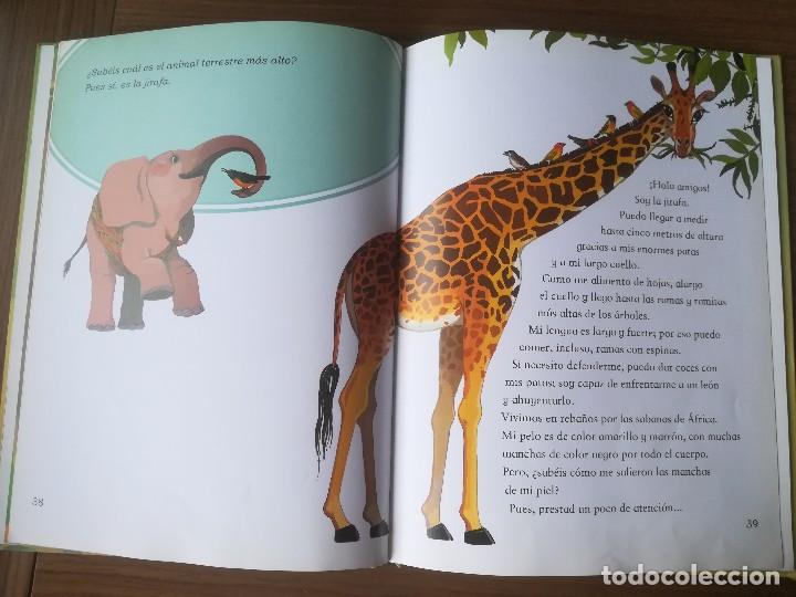 Libros de segunda mano: CUENTOS DE LA SELVA Y OTRAS HISTORIAS EDEBE 2005 - Foto 4