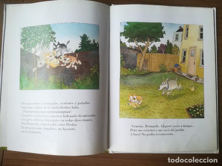 Libros de segunda mano: &iquest;YO Y MI GATO? - SATOSHI KITAMURA - 2000 - Foto 3