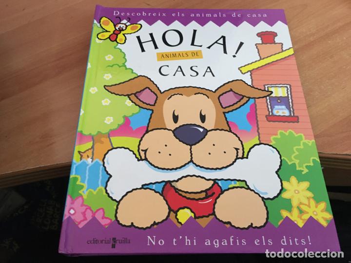 Libros de segunda mano: HOLA, ANIMALS DE CASA . POP - UP (LB40) - Foto 1