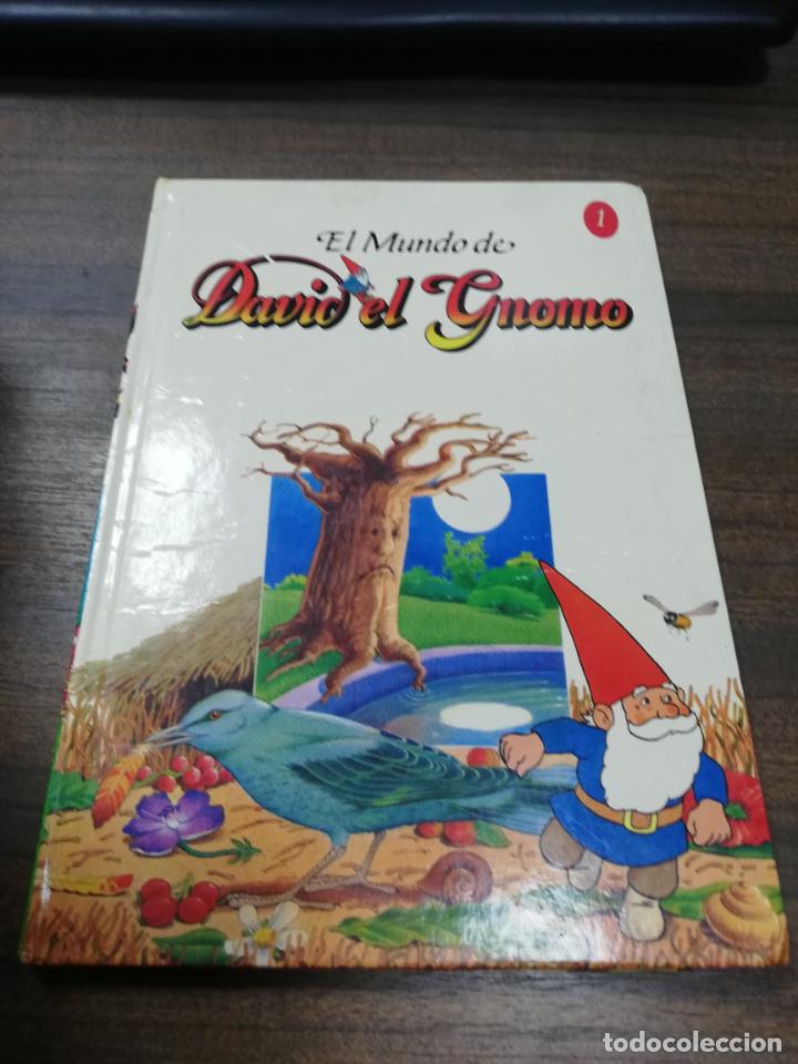 Libros de segunda mano: EL MUNDO DE DAVID EL GNOMO. 1994. - Foto 1