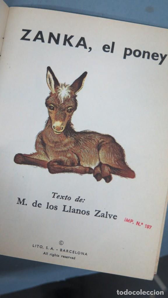 Libros de segunda mano: ZANKA. EL PONEY. LITO - Foto 2