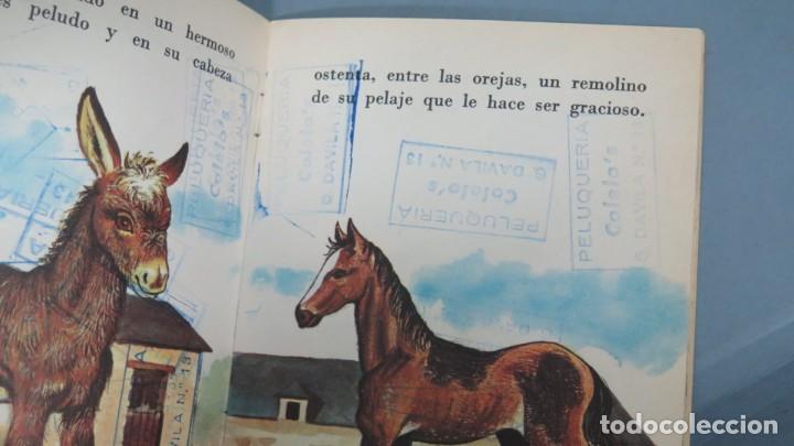 Libros de segunda mano: ZANKA. EL PONEY. LITO - Foto 3