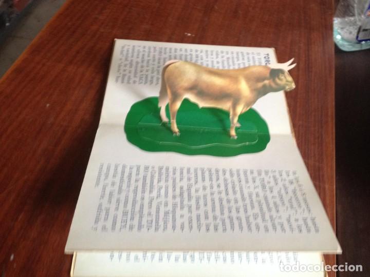 Libros de segunda mano: ABC DE LOS ANIMALES. LIBRO PANOR&Aacute;MICO. EDITORIAL ROMA.(C/A20) - Foto 3