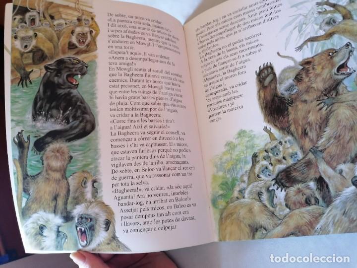 Libros de segunda mano: EL LLIBRE DE LA SELVA ** EN CATALAN ** GRAN CLASSICS ** DE PANINI 2008 - Foto 2