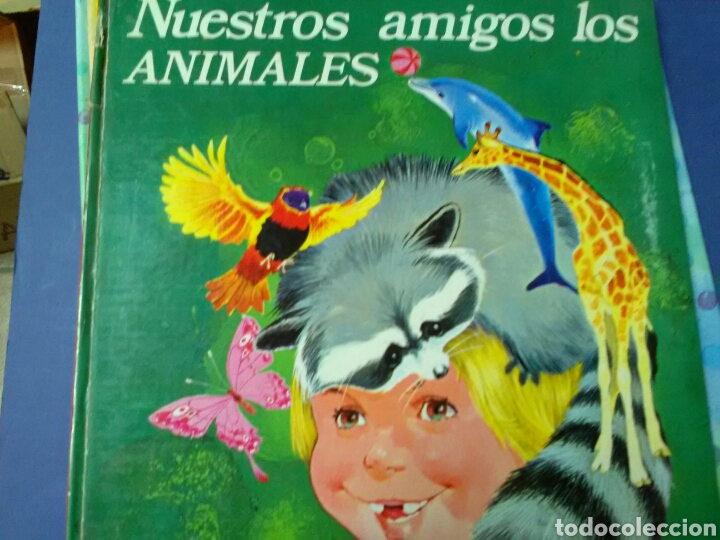 Libros de segunda mano: NUESTROS AMIGOS LOS ANIMALES . Rd. FHER - Foto 1
