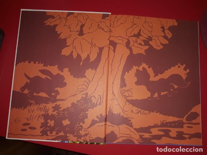 Libros de segunda mano: Tod i Toby Edici&oacute; Catal&agrave;/ Angl&egrave;s Disney Beascoa 1996 Editat com un C&oacute;mic - Foto 5