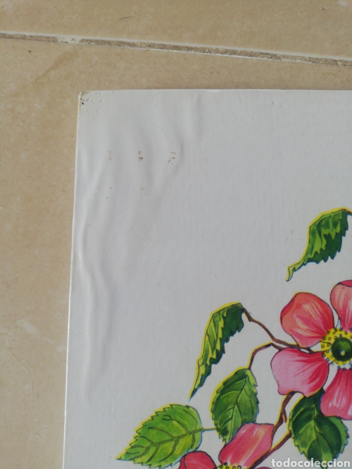 Libros de segunda mano: Ser&aacute; la primavera, Charlie, edici&oacute;nes paulina - Foto 3
