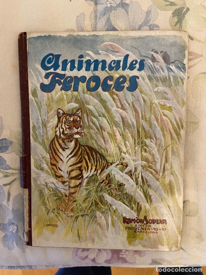 Libros de segunda mano: ANIMALES FEROCES SOPENA - Foto 1