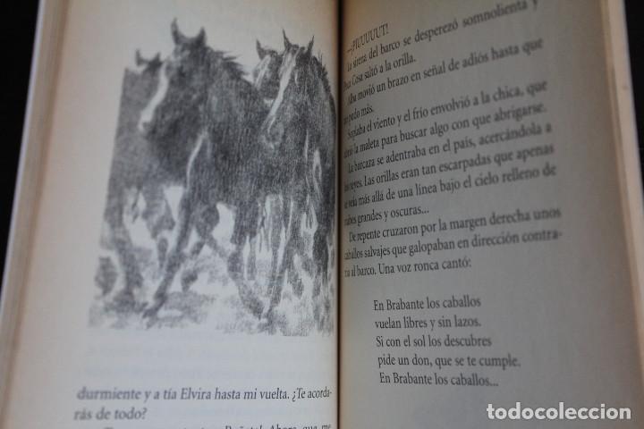 Libros de segunda mano: Alba, Reina de las Avispas. Emma Cohen. 1998 - Foto 3