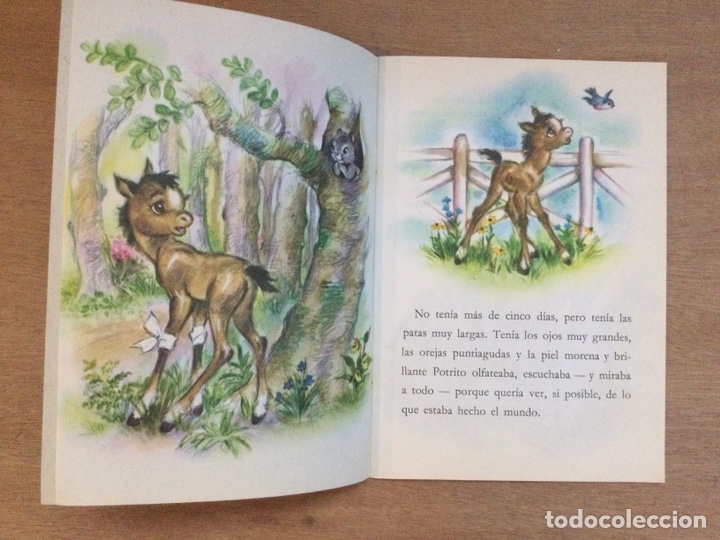 Libros de segunda mano: POTRITO- un libro Bonny - Foto 4