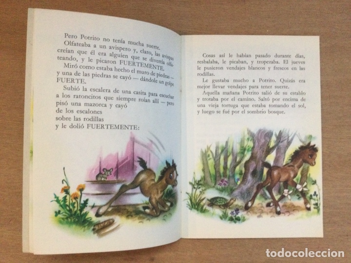 Libros de segunda mano: POTRITO- un libro Bonny - Foto 5