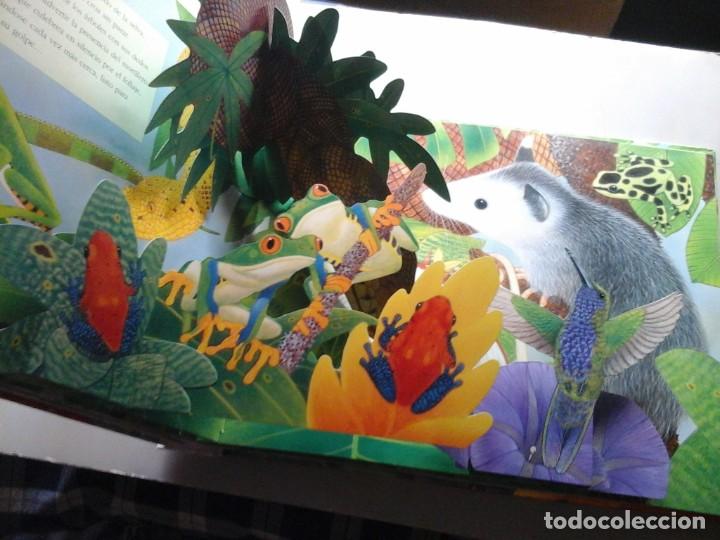 Libros de segunda mano: MAURICE PLEDGER. SONIDOS DE LA SELVA. POP-UP. RARO. - Foto 3
