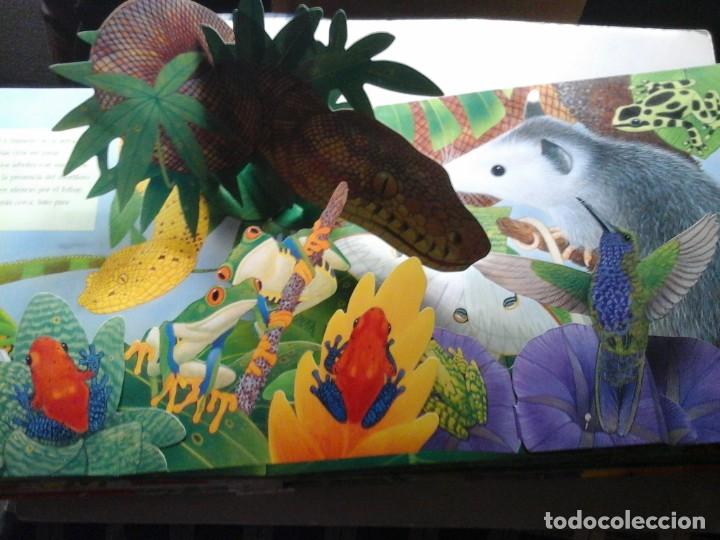 Libros de segunda mano: MAURICE PLEDGER. SONIDOS DE LA SELVA. POP-UP. RARO. - Foto 4