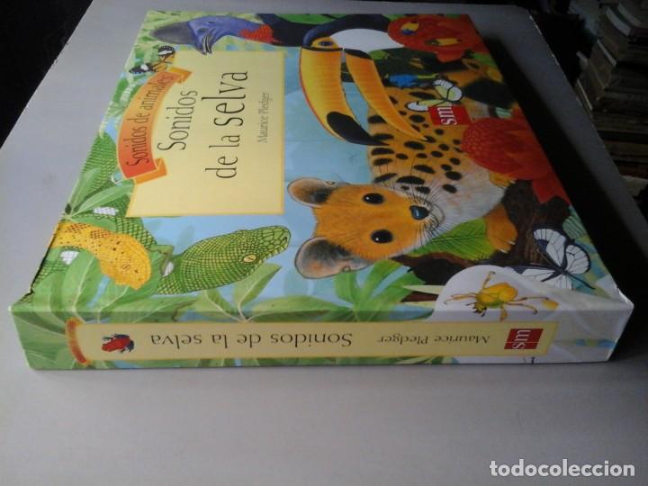 Libros de segunda mano: MAURICE PLEDGER. SONIDOS DE LA SELVA. POP-UP. RARO. - Foto 5