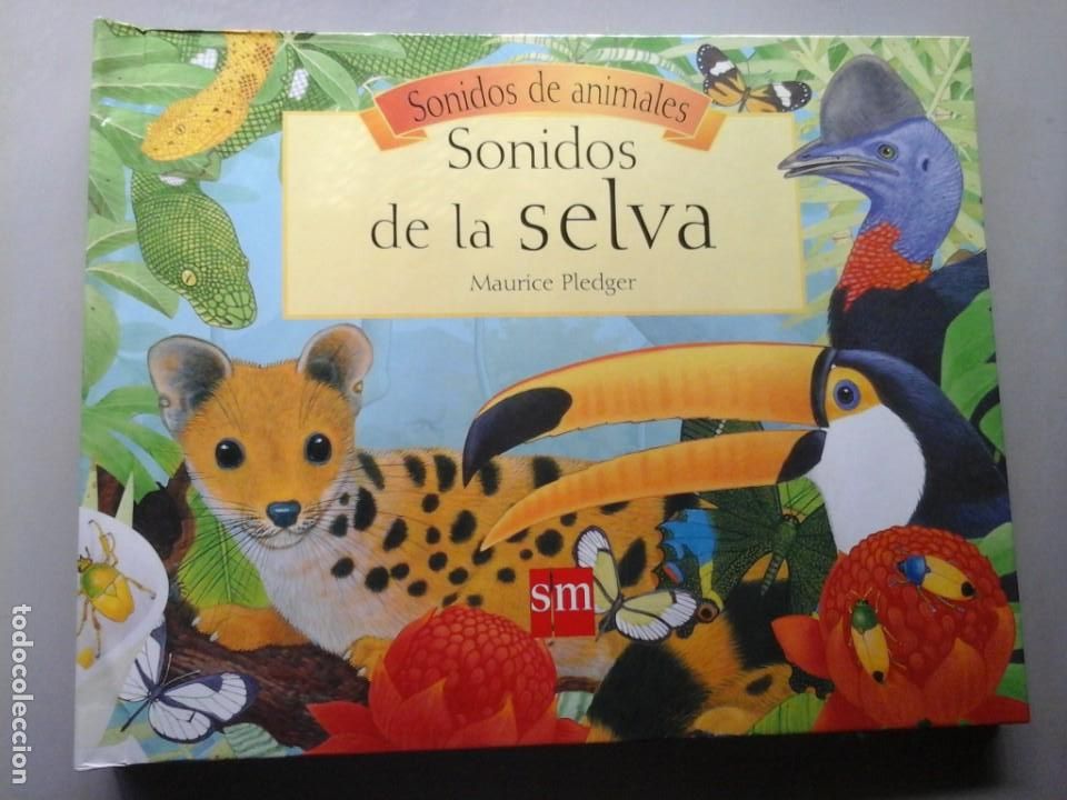 Libros de segunda mano: MAURICE PLEDGER. SONIDOS DE LA SELVA. POP-UP. RARO. - Foto 1