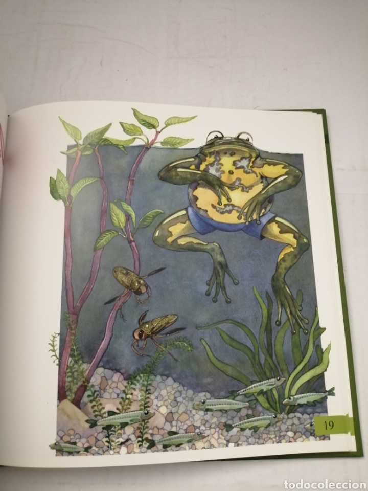 Libros de segunda mano: Feliz Cumplea&ntilde;os (Primera edici&oacute;n) - Foto 4