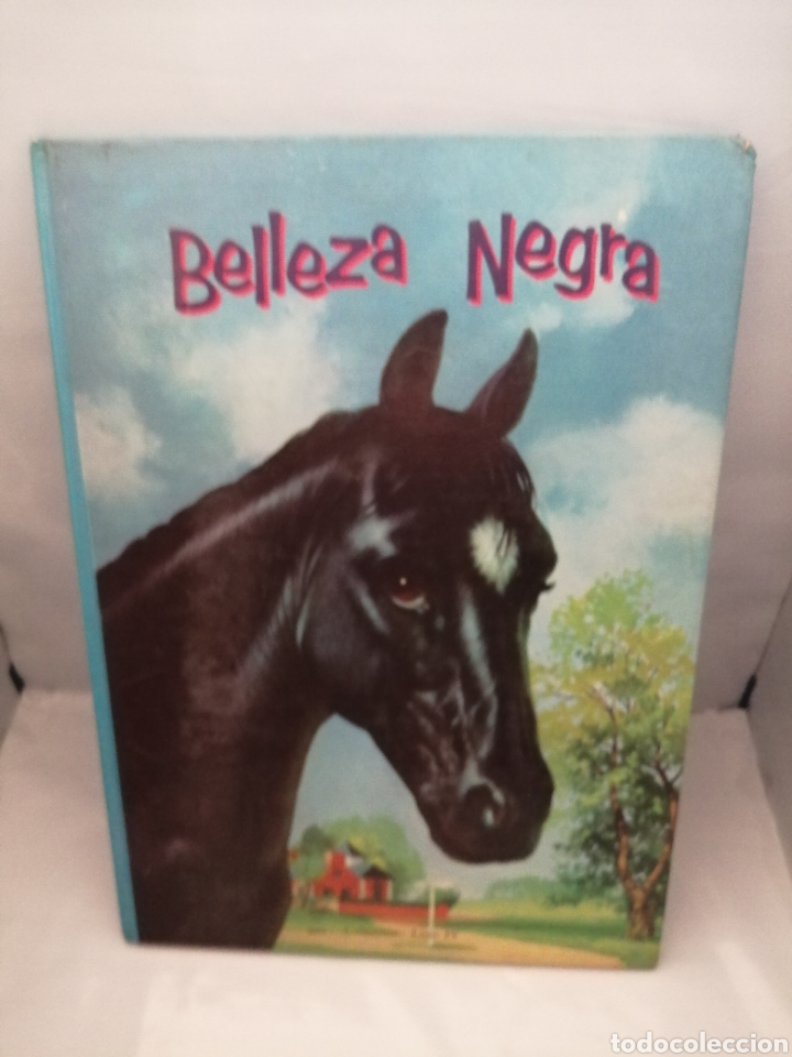 Libros de segunda mano: BELLEZA NEGRA - Foto 1