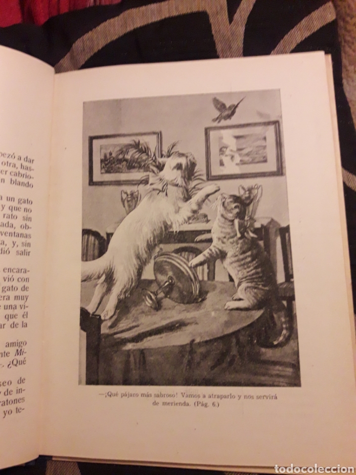 Libros de segunda mano: Para el nene, libro de Editorial Ram&oacute;n Sopena de 1940 - Foto 4