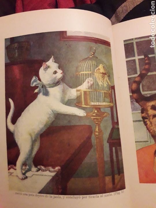 Libros de segunda mano: Para el nene, libro de Editorial Ram&oacute;n Sopena de 1940 - Foto 6
