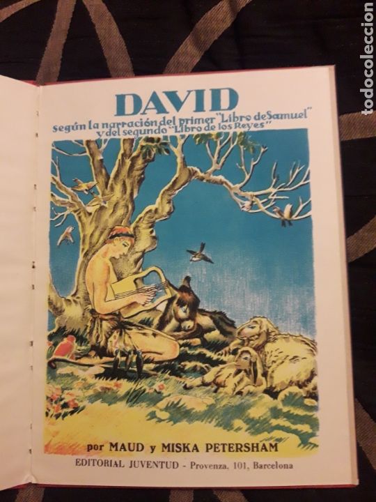 Libros de segunda mano: DAVID, Editorial Juventud de 1954 - Foto 3