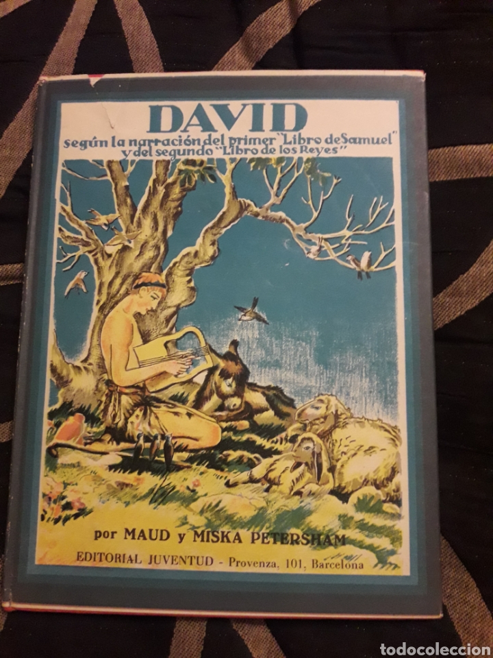 Libros de segunda mano: DAVID, Editorial Juventud de 1954 - Foto 1