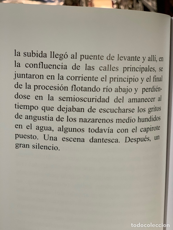 Libros de segunda mano: LA RIADA - PEPE RAYOS. - Foto 6