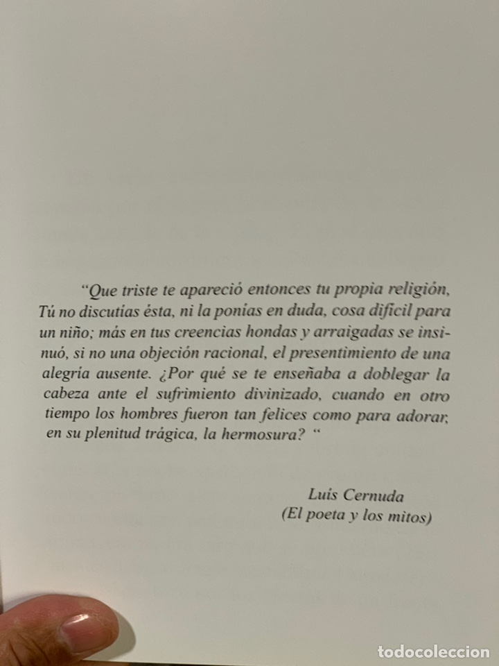 Libros de segunda mano: LA RIADA - PEPE RAYOS. - Foto 8