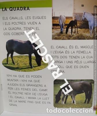 Libros de segunda mano: LLIBRE - LA GRANJA -BESTIOLES N&ordm; 2 - EN CATAL&Aacute; - Foto 2