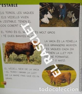 Libros de segunda mano: LLIBRE - LA GRANJA -BESTIOLES N&ordm; 2 - EN CATAL&Aacute; - Foto 3